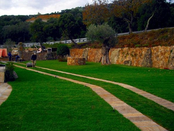 Un rigoglioso prato verde attraversato da una passerella in pietra