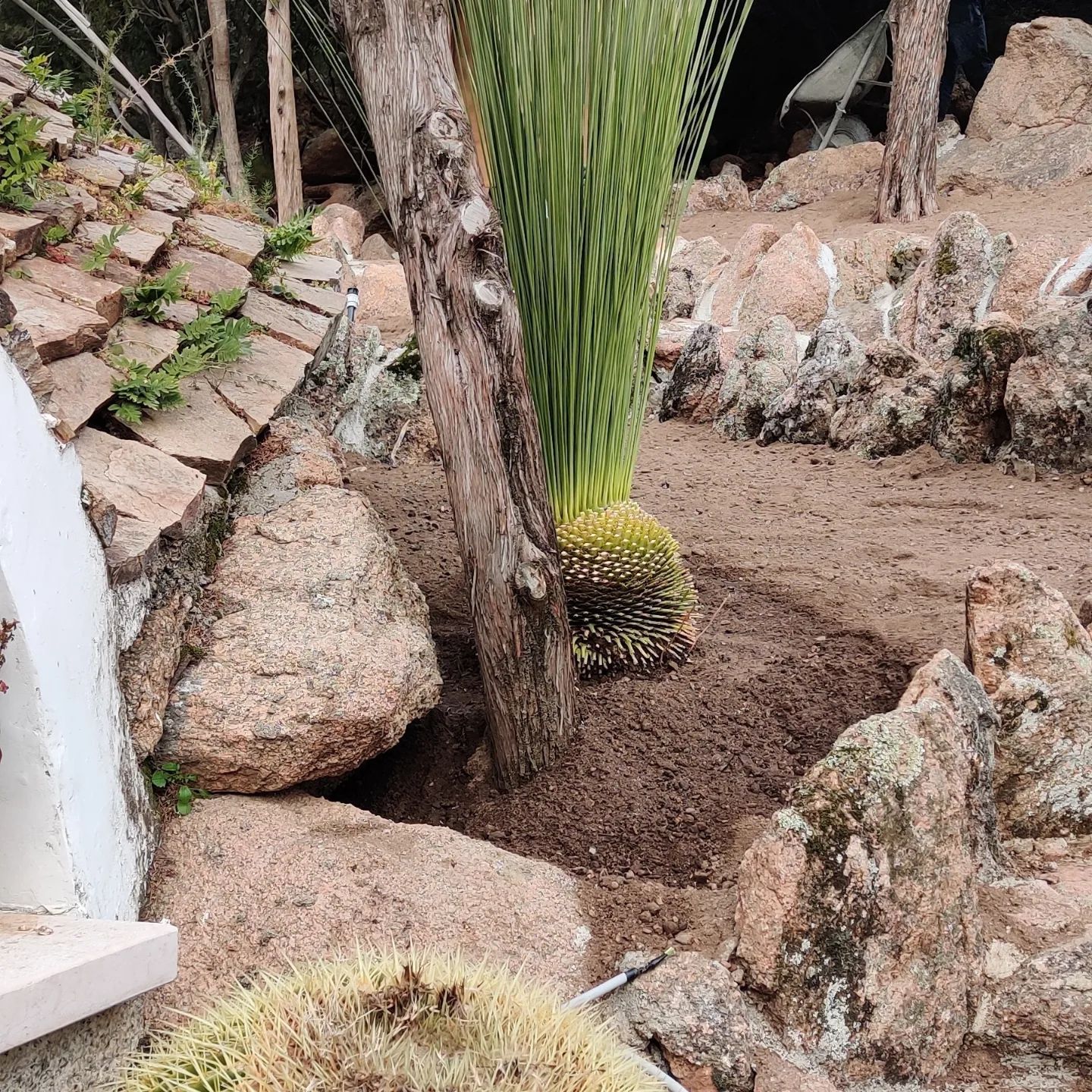 Ein Wasserfall ist in einem Garten von Felsen und Kakteen umgeben.