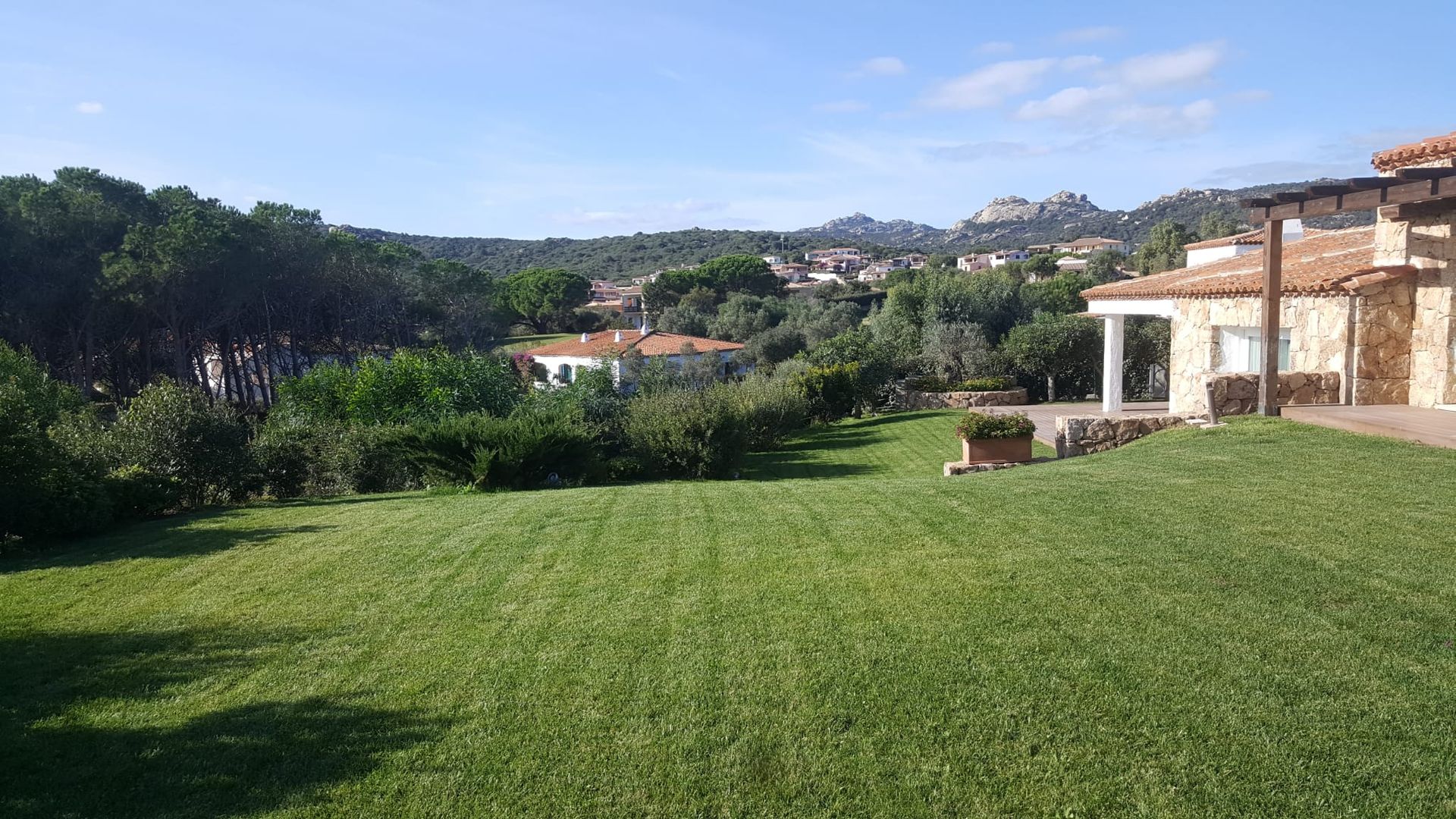 Un grande campo verde lussureggiante con una casa sullo sfondo.