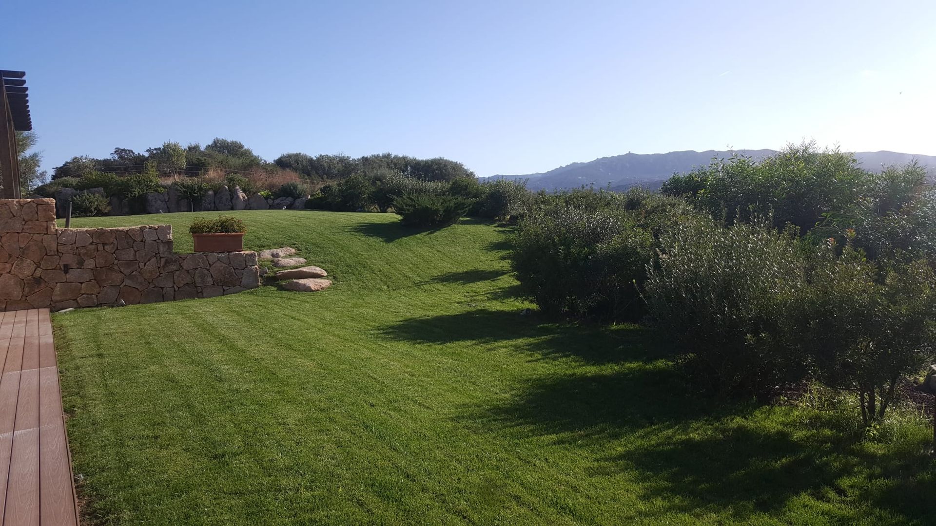 Un campo verde lussureggiante con un muro di pietra sullo sfondo