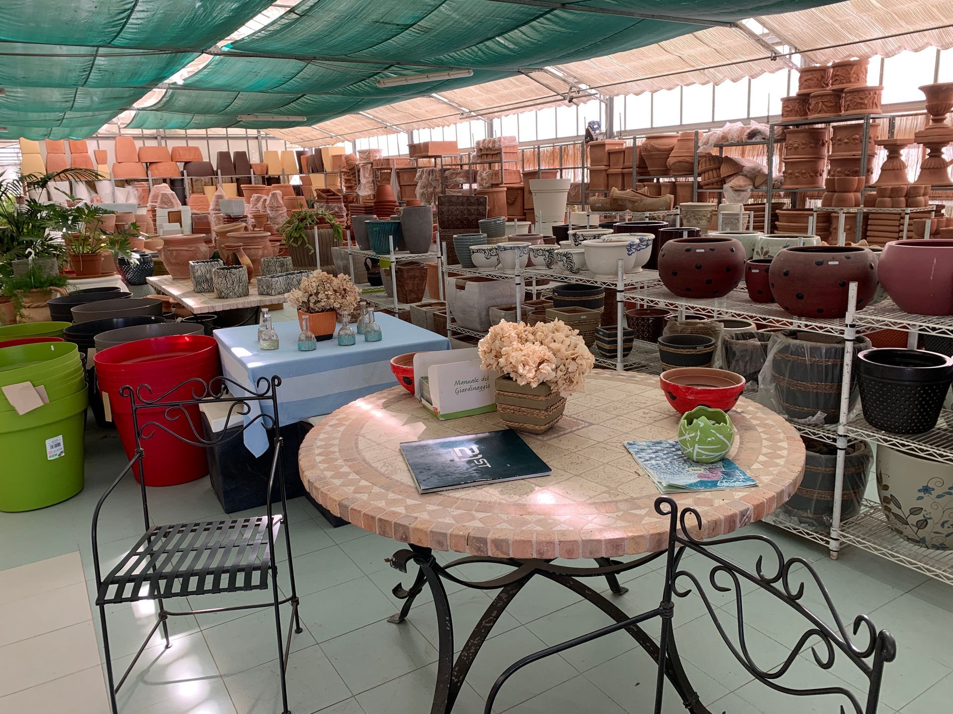 A table and chairs in a shop full of pot plants.