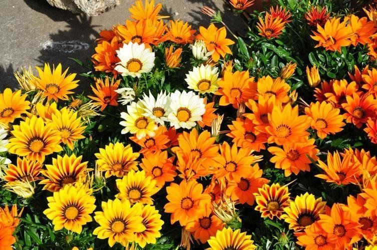 A bouquet of yellow and orange flowers with green leaves