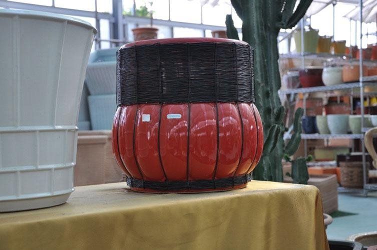 On a table in front of a cactus sits a red vase