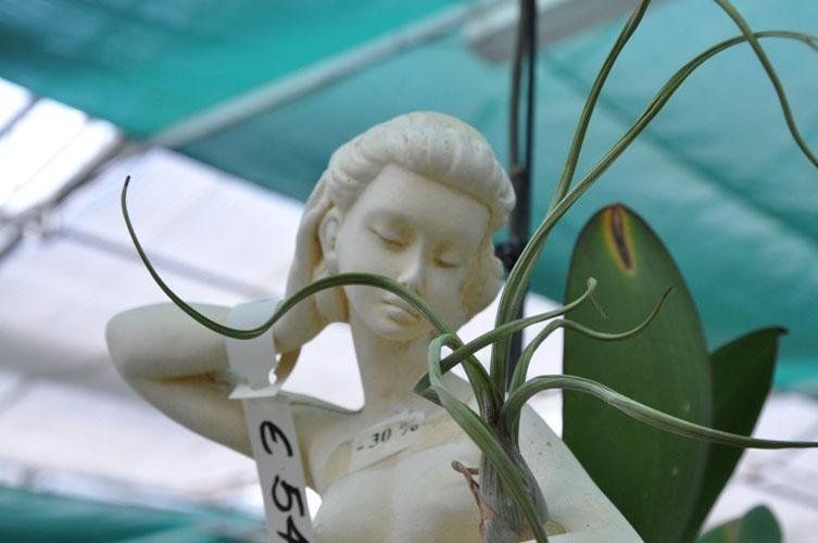 A statue of a woman with a label saying €54