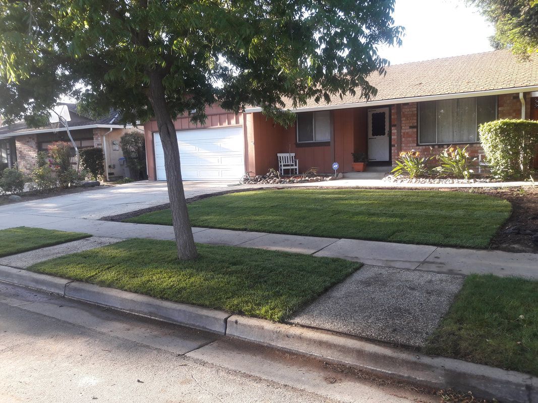 A brick house with a lush green lawn in front of it