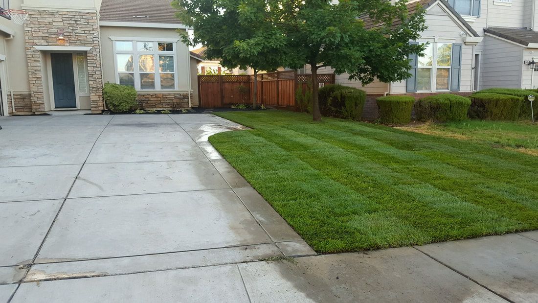A driveway with a lush green lawn in front of a house.