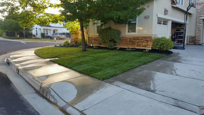 A house with a lush green lawn and a sidewalk in front of it.