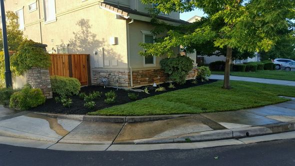 A house with a lush green lawn and a wooden fence in front of it.