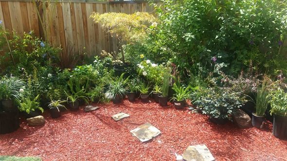 A garden filled with lots of potted plants and red mulch.