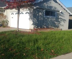A house with a garage and a tree in front of it.