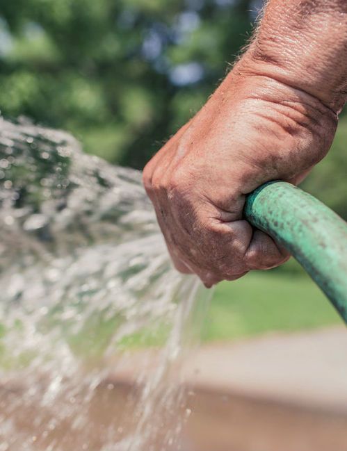 A man is watering a garden with a green hose.