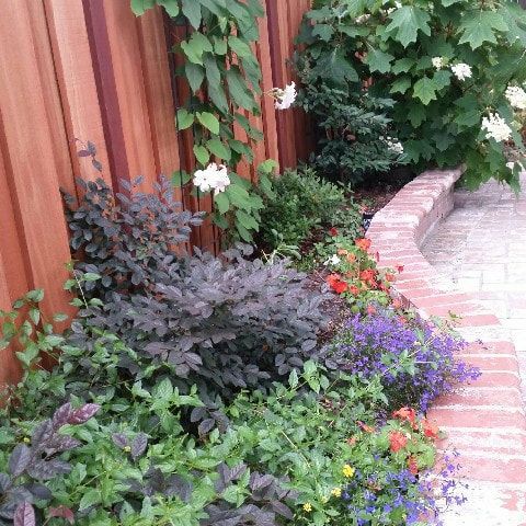 A wooden fence surrounds a garden with flowers and plants.