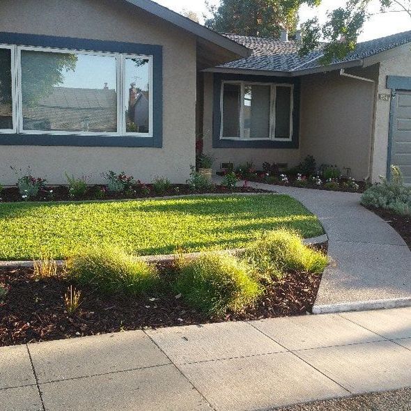 A house with a concrete walkway leading to it
