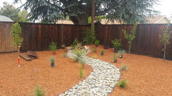 A path in a backyard with a wooden fence and a tree