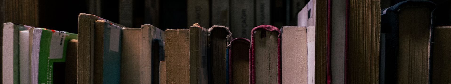 Libri su scaffalatura