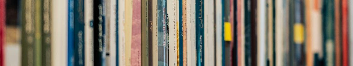 libri in fila su una mensola