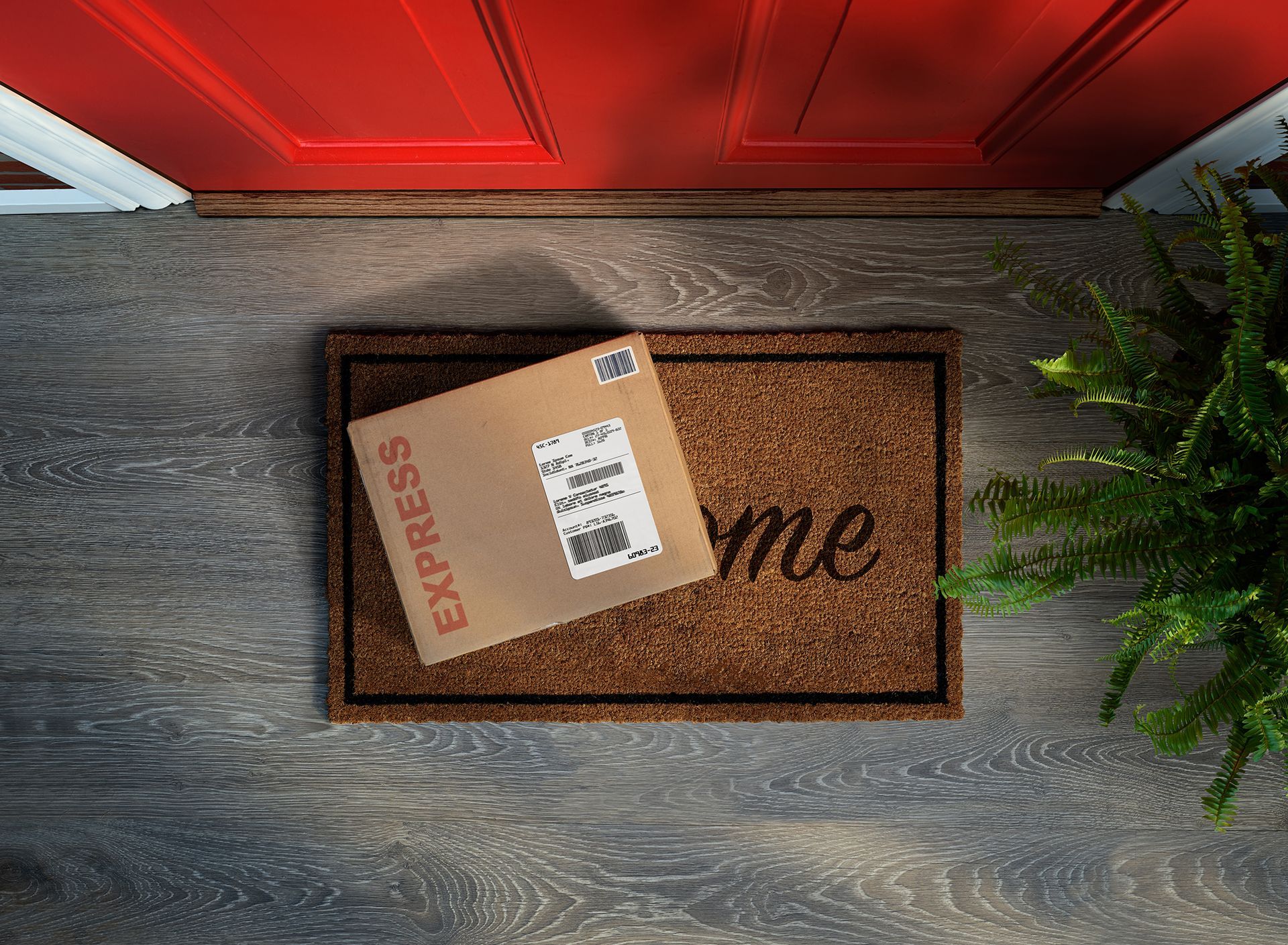 Package on a doormat by a red door, with a leafy plant beside it.