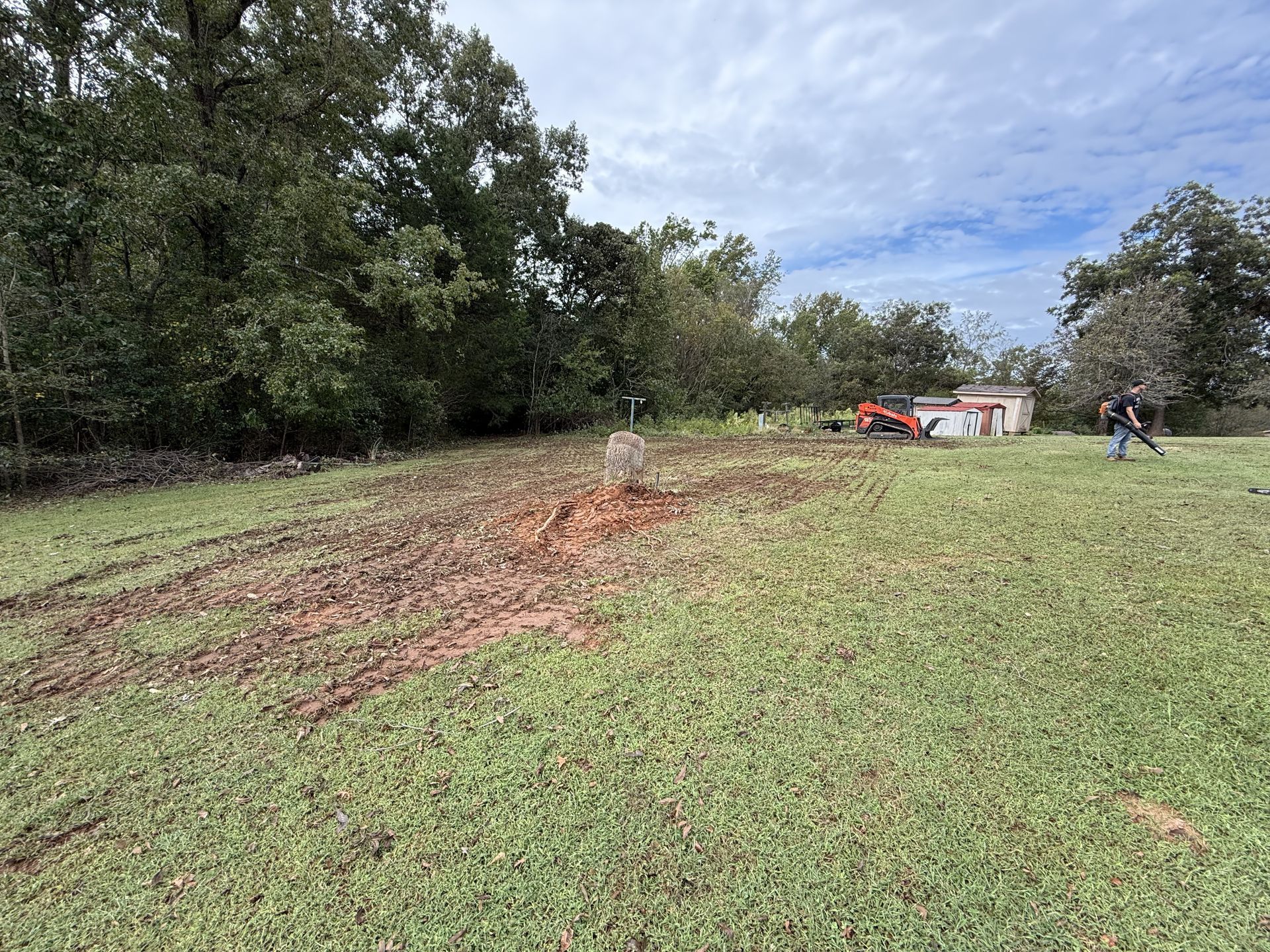 A person uses a leaf blower to clear yard debris near a large tree stump in a grassy field with trees in the background.