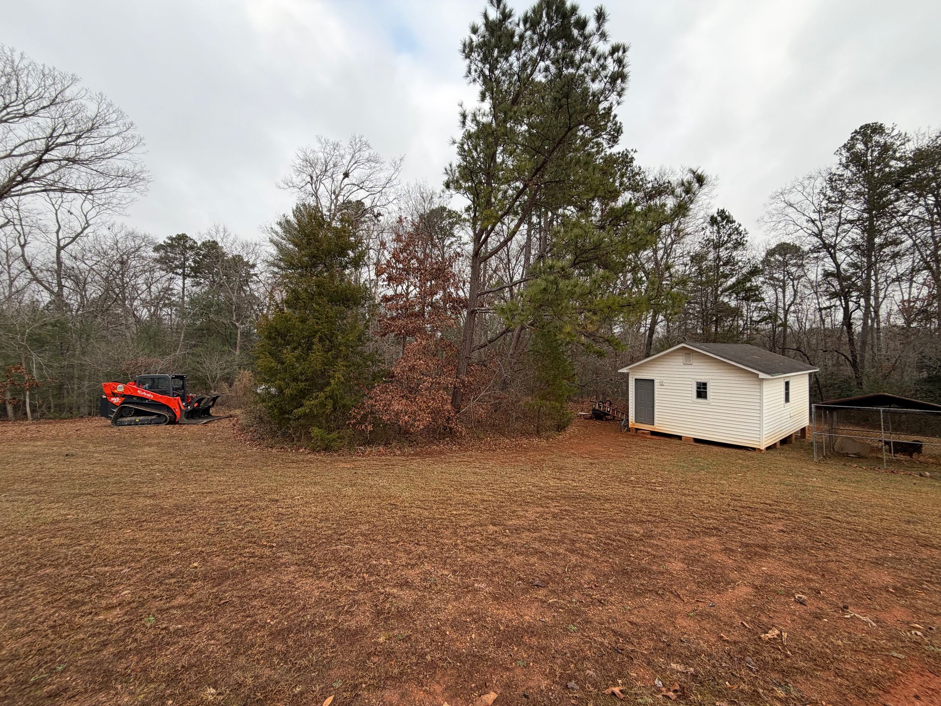 A small white shed sits in a grassy, partially wooded yard with a red skid-steer loader parked on the left.