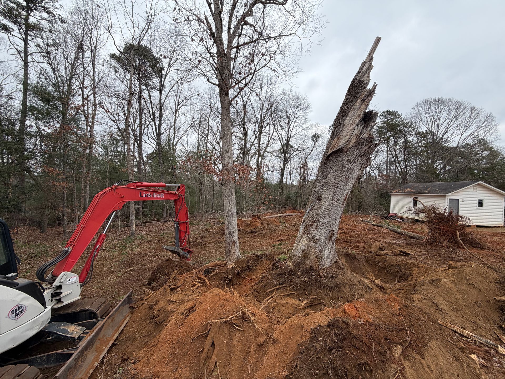 A red excavator digging around a large, damaged tree trunk at a construction site with a white house in the background.