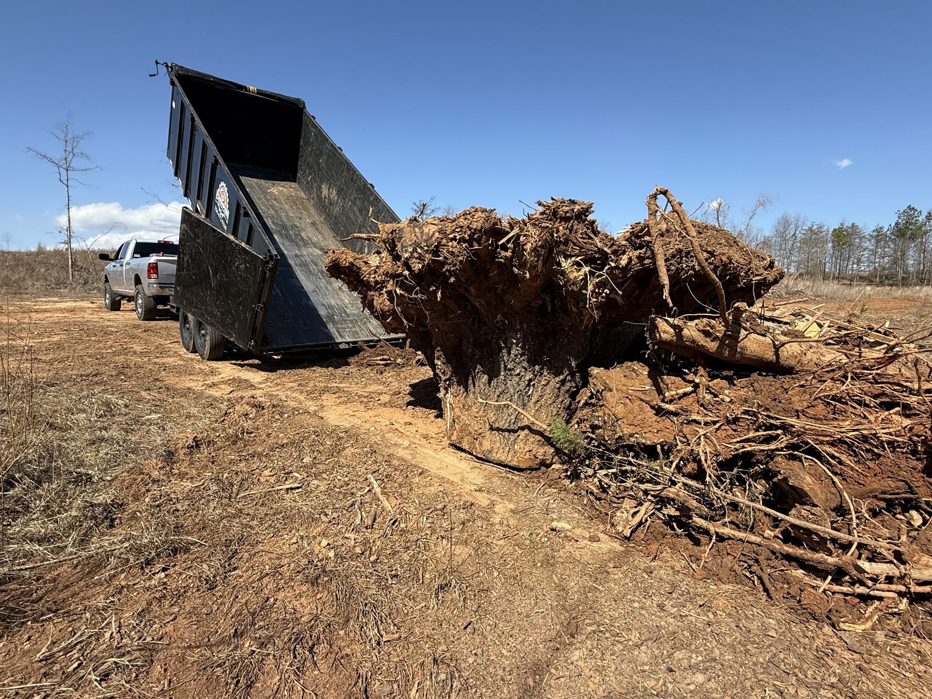 A white pickup truck hauls an empty black dump trailer next to a large pile of excavated tree stumps in a cleared field.