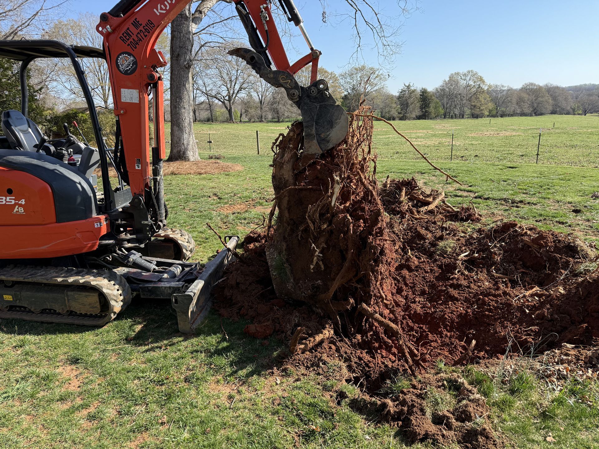 An orange Kubota excavator pulls a large tree stump with roots out of the red clay soil in a grassy field.