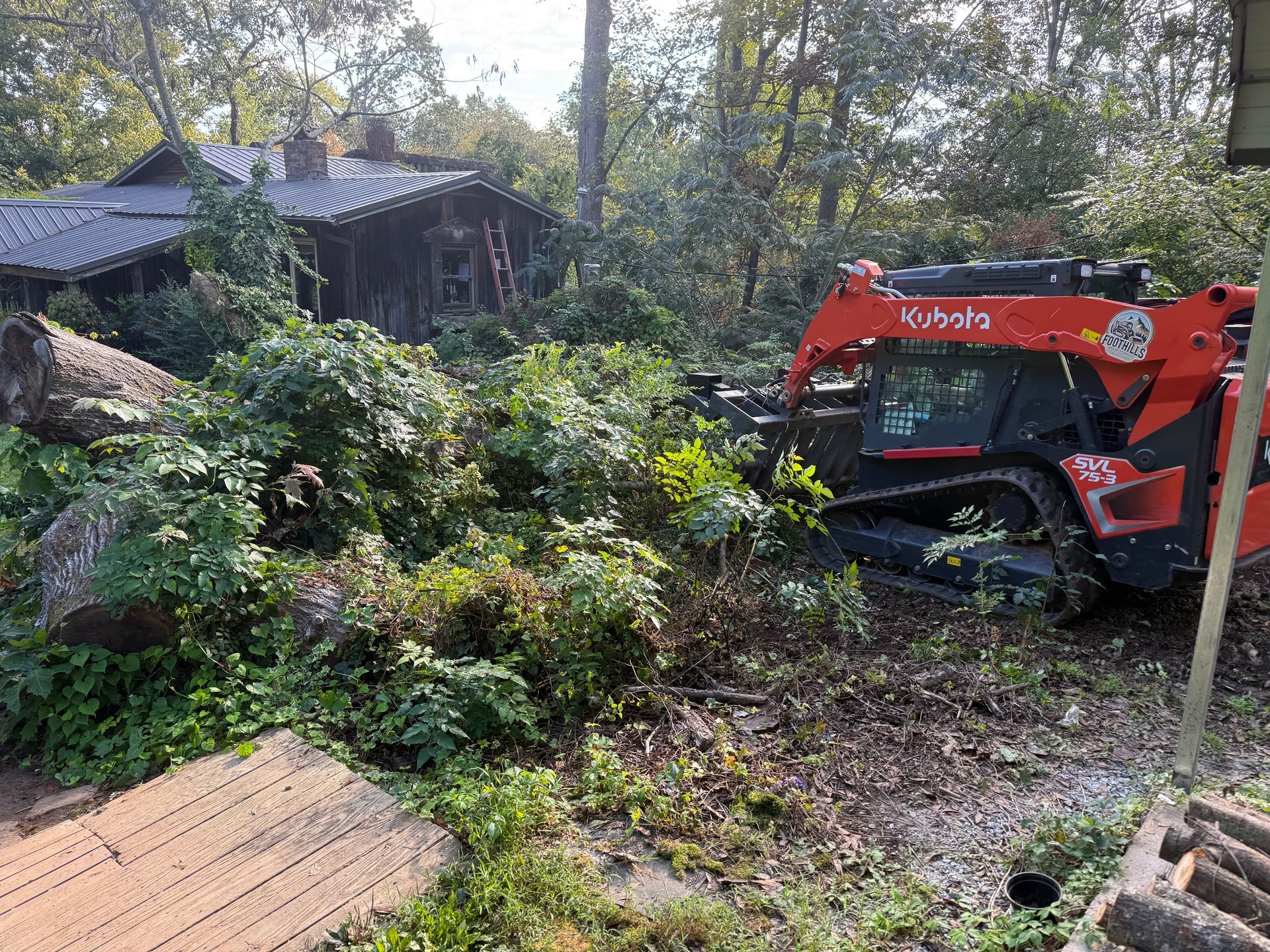 A red Kubota skid-steer loader sits on a wooded property near a rustic cabin, surrounded by cut logs and dense greenery.