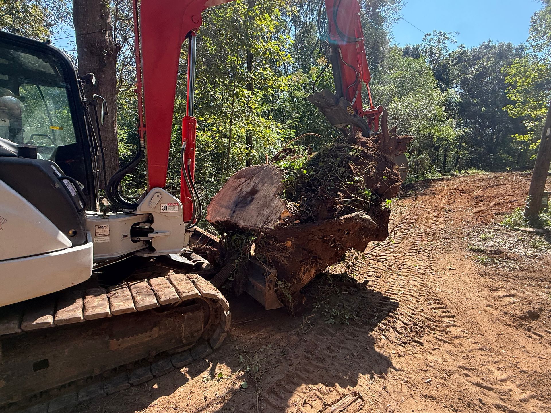 A white and red excavator moves a large, cut tree trunk on a dirt path in a wooded area.
