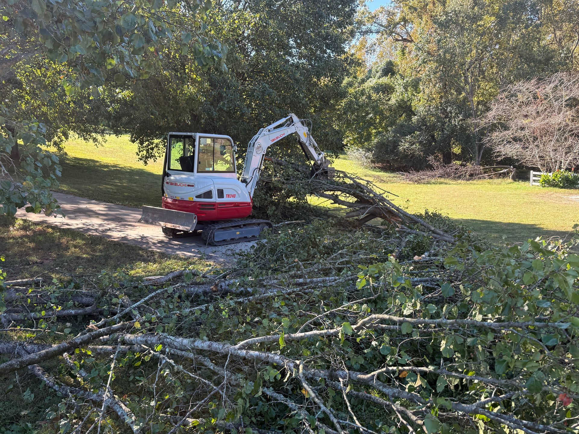 A white and red mini-excavator clears fallen tree branches in a sunny, grassy outdoor area.