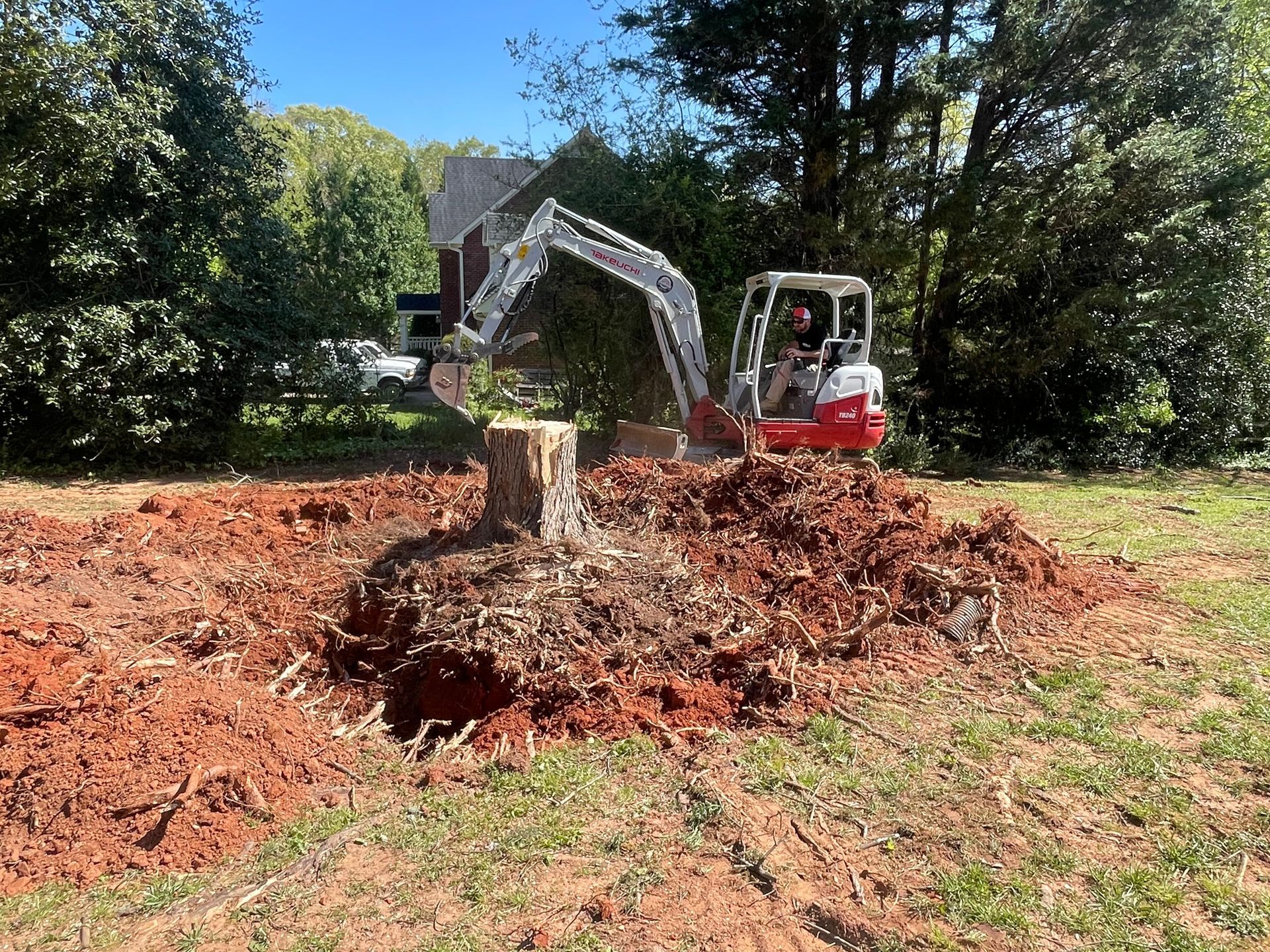 A red mini excavator works on a job site, digging around a large tree stump in a yard with red soil.
