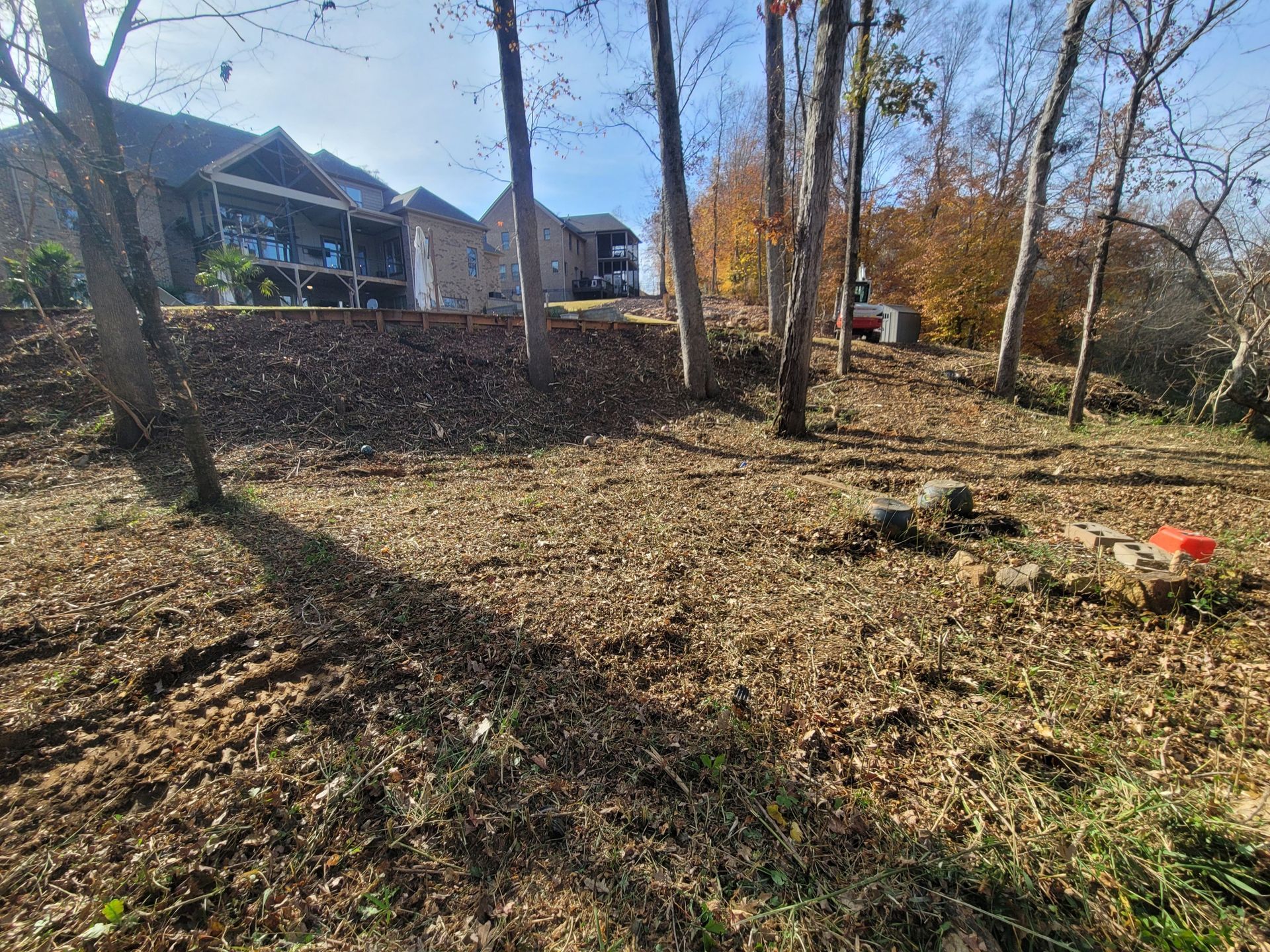 A large house sits atop a leaf-covered hill surrounded by tall, bare trees under a clear blue sky.