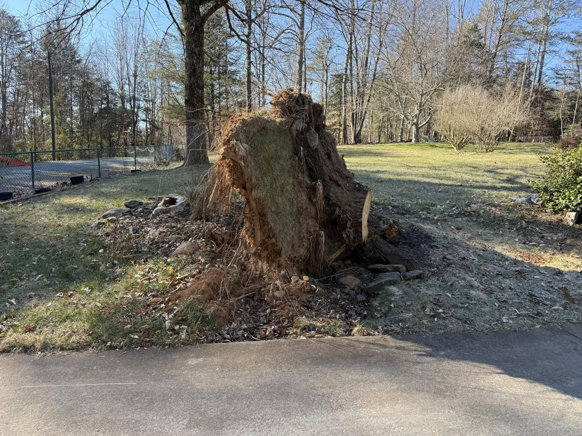 A large, uprooted tree stump with tangled roots exposed, sitting on a grassy patch beside an asphalt road.