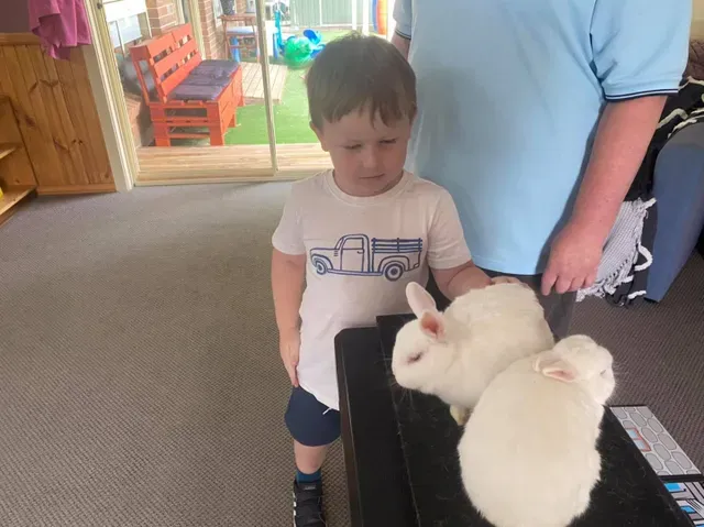 Boy and Rabbits — Goulburn, NSW — River Heights Child Care Centre
