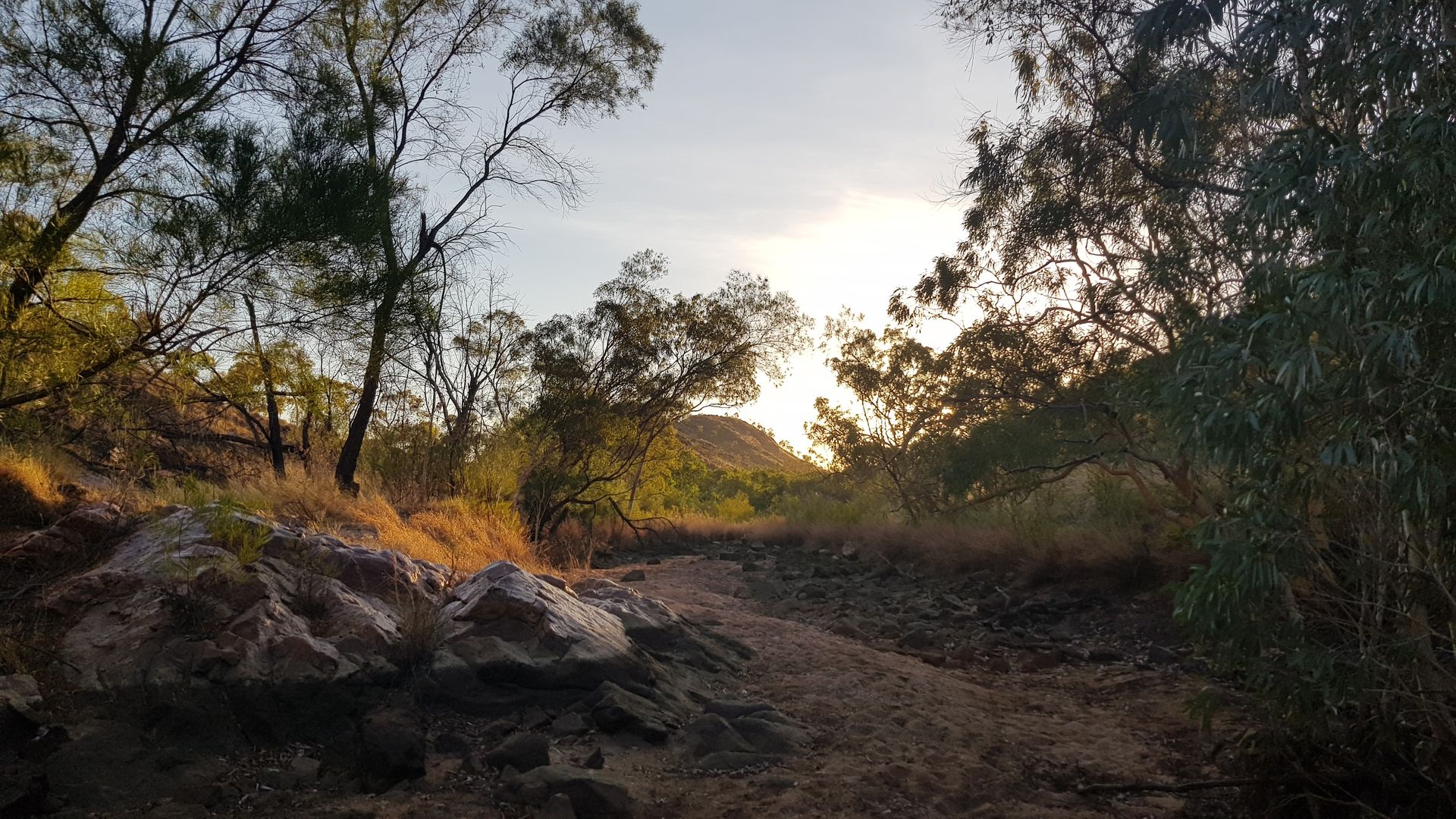 Northern Land Council Submission to inquiry into racism, hate and violence directed at Aboriginal and Torres Strait