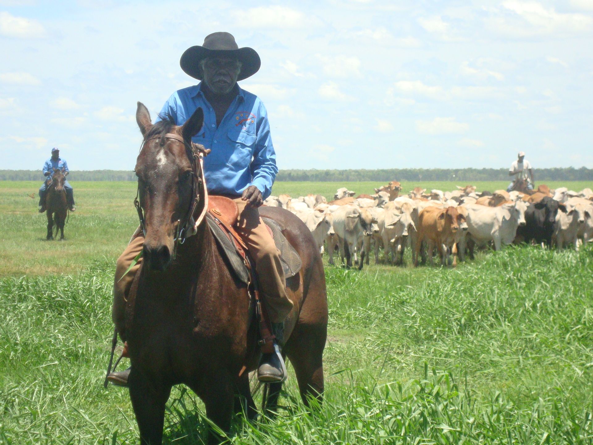 Aboriginal Land Management | Northern Land Council