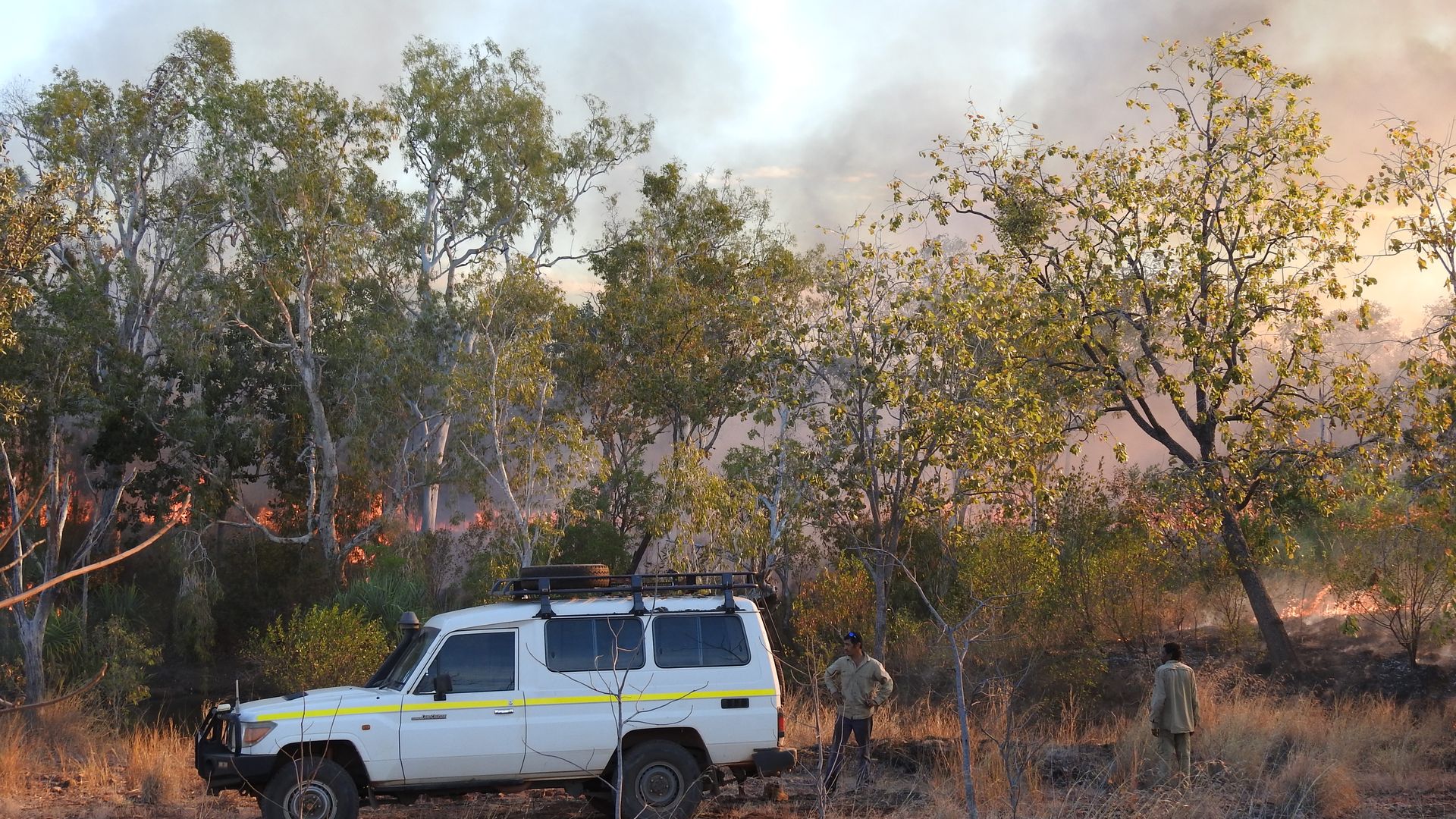 CLP budget backflip on Aboriginal rangers