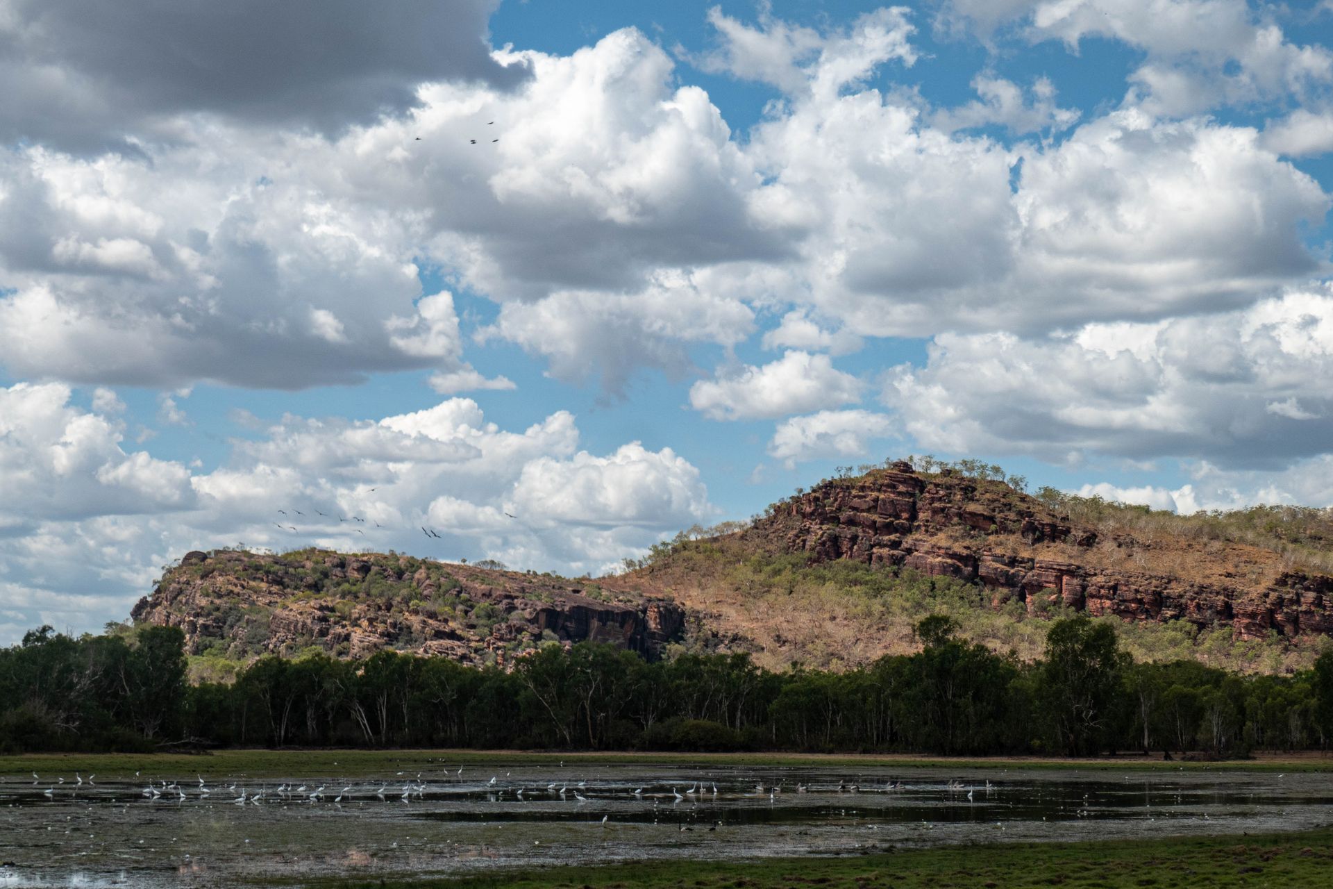 waterhole against blue sky with clouds