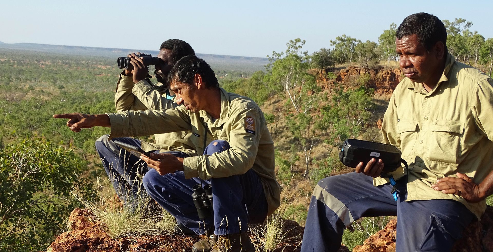 Wardaman Rangers Crop