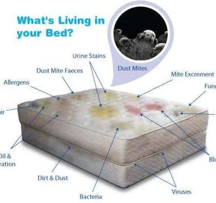Mattress Stains | South Yarmouth, MA | DRY SERV Mattress Stains | South Yarmouth, MA | DRY SERV