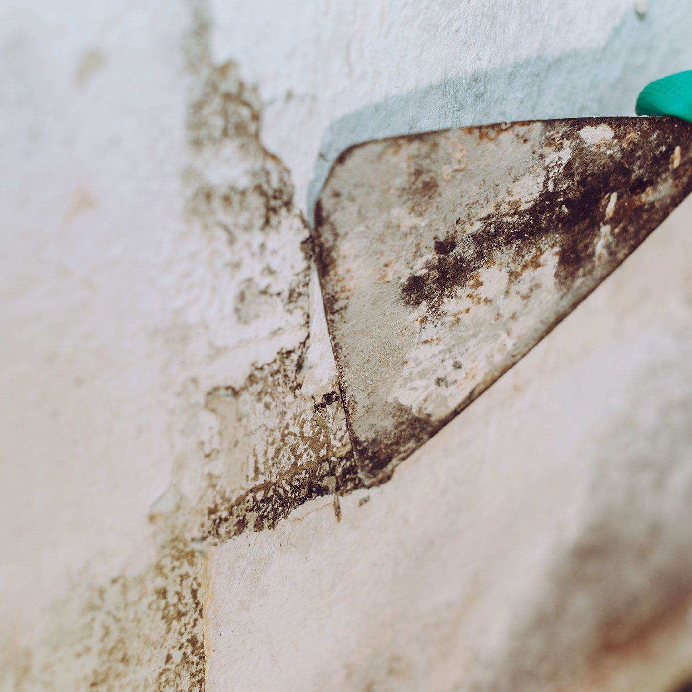 Filthy Wall | South Yarmouth, MA | DRY SERV