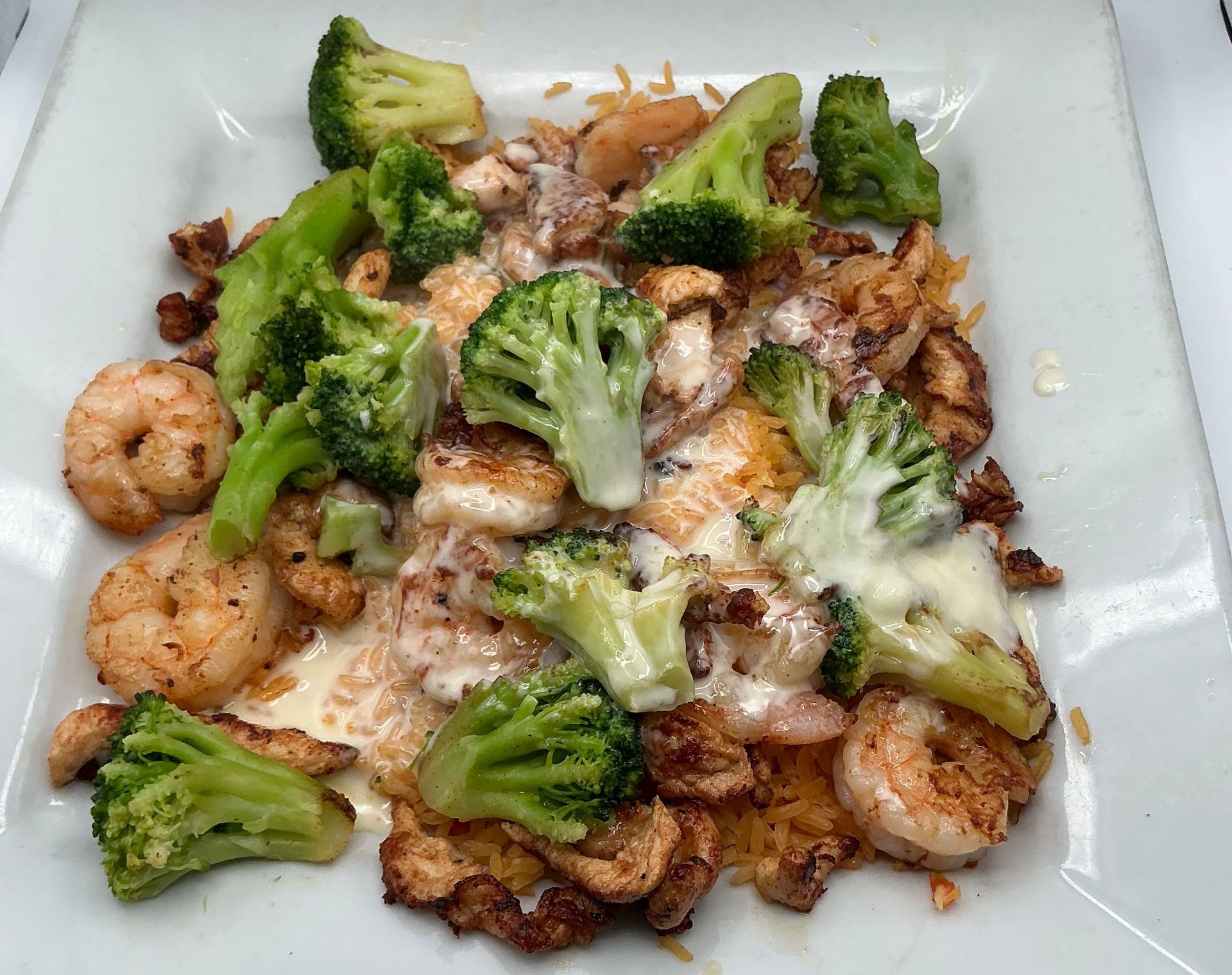 Shrimp and broccoli over rice on a white square plate. Creamy sauce covers the dish.