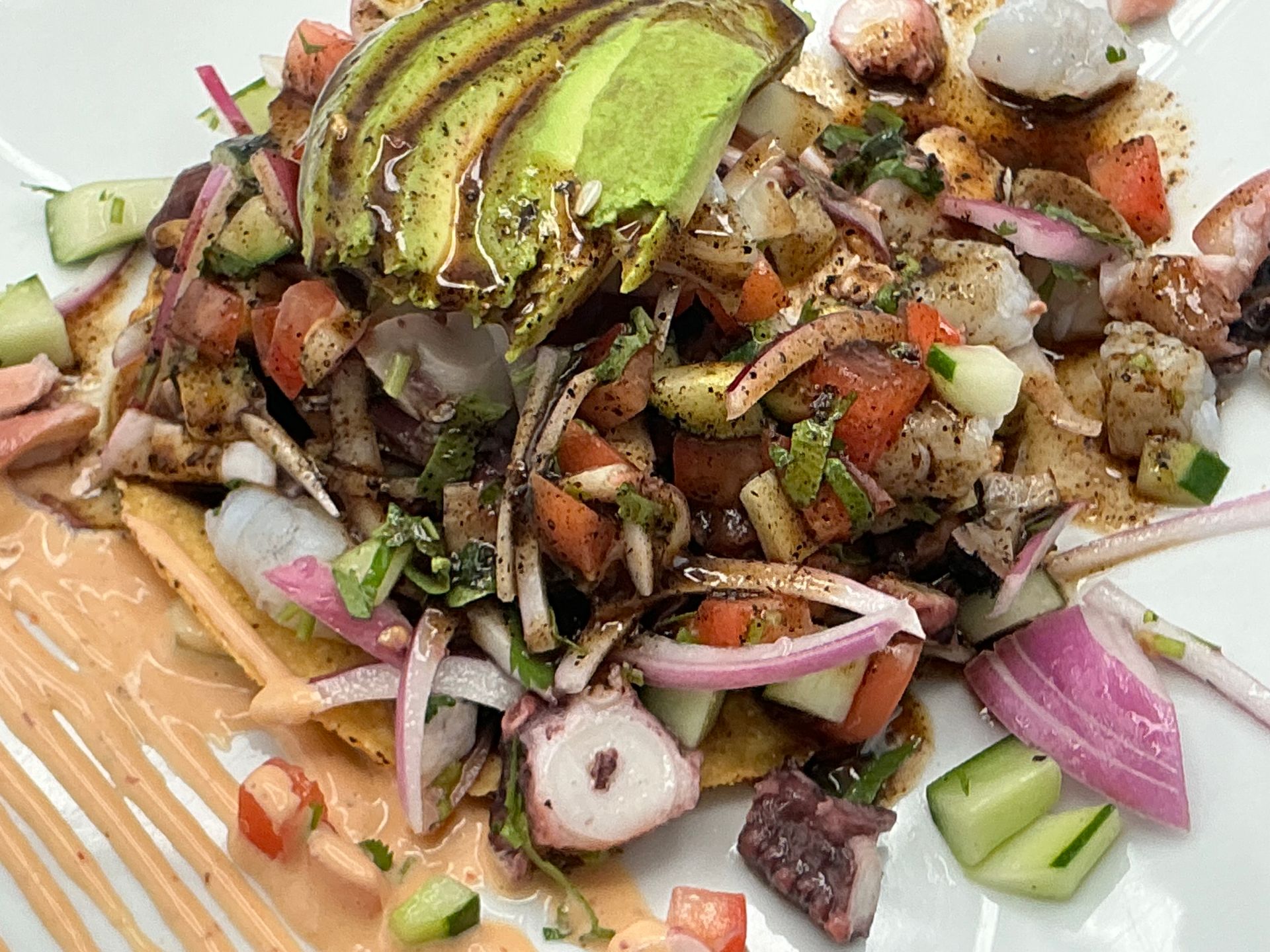 Ceviche tostada with avocado, octopus, shrimp, vegetables, and sauce.