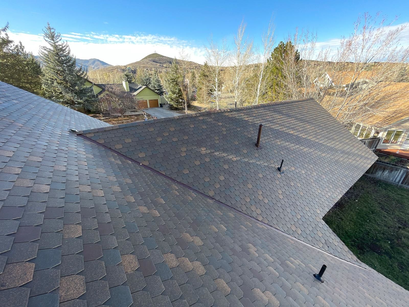 View of a multi-colored asphalt shingle roof, with trees and a mountain in the background under a blue sky.