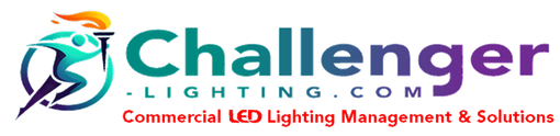 Logo: stylized runner with torch, 