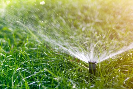 A close up of a sprinkler spraying water on a lush green lawn.