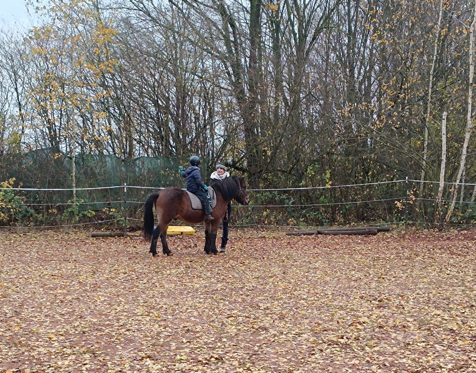Reittherapie Pferd und kind