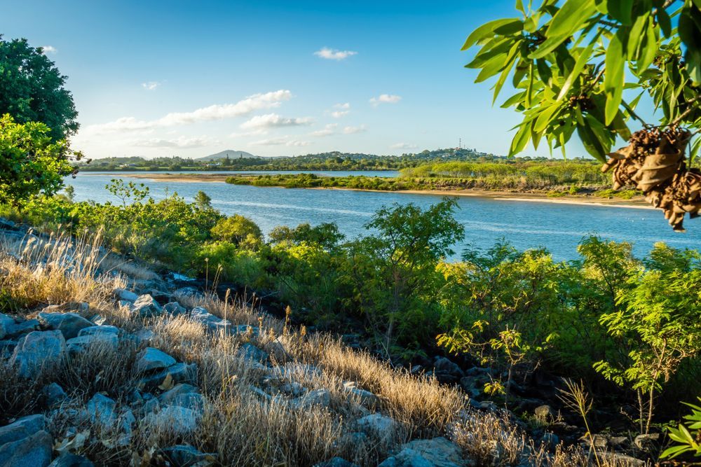 Scenic View: Blue Water, Green Trees, Dry Grasses, and a Bright Sky — Ezyshelf in Mackay, QLD 