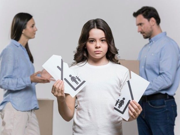 Custody Disputes