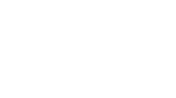 Seminole 100 Logo 