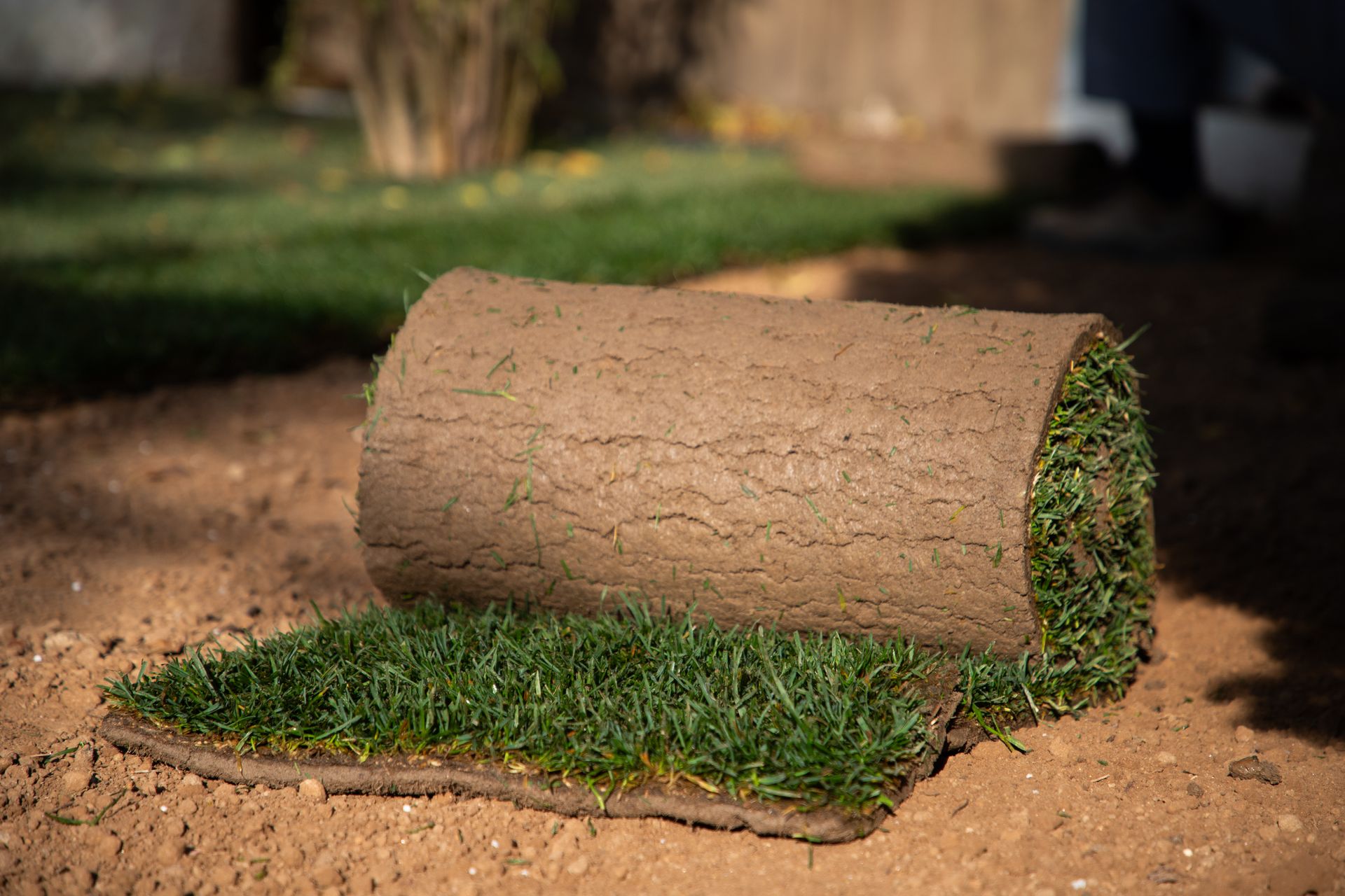 Including Turf What Is Artificial Turf vs Natural Grass? Pros & Costs!